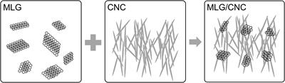 Using Cellulose Nanocrystal as Adjuvant to Improve the Dispersion Ability of Multilayer Graphene in Aqueous Suspension